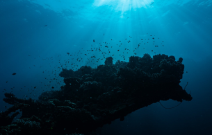 bandeau climate biodiversity conference