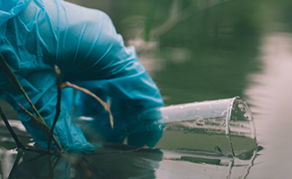 Main gantée qui remplit un verre d'eau d'une rivière pour faire des tests